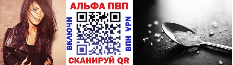APVP СК  Ершов 