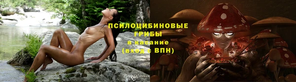 дмт Лагань