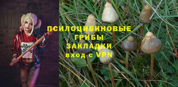 мет Инта