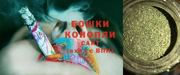 трава Белокуриха