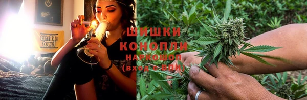 трава Белокуриха